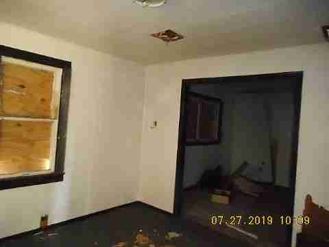 16737 Dolphin (9)_m.jpg